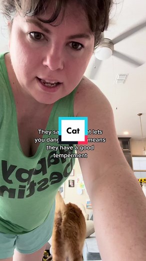 Cat Temperament Test Explained