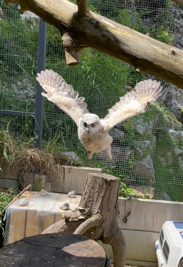let’s not forget one of sonic’s first jumps🤗 | Sonic the Hedgehog