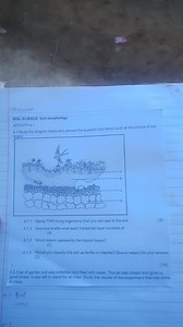 ClassworkSOIL SCIENCE: Soil morphologyACTIVITY 4.14.1 Study ... | Filo