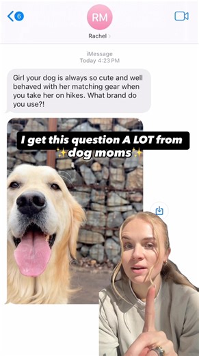 The easy to use, ⭐️⭐️⭐️⭐️⭐️ rated dog harness. | Wilderdog