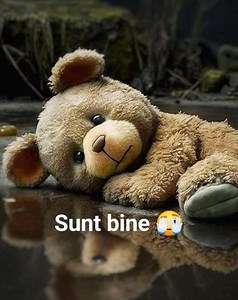 7.9K views · 501 reactions | #hei_tu  #da_da_Tu  Una din ce mai...