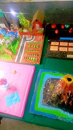 Younger Scientists Science projects grade 8th