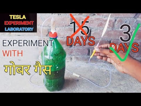 Biogas (gobargas) kaise banaye || gobargas (biogas) experiment ||#biogasworks ||#cng ||#diyideas