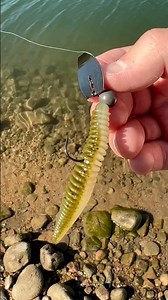 The 3.5” Moondog Jeddi Worm has some crazy action on a naked bladed jig! #fishing