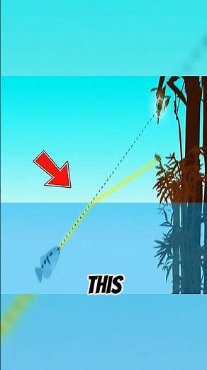 Archerfish Solves Physics Just to Hunt 😱