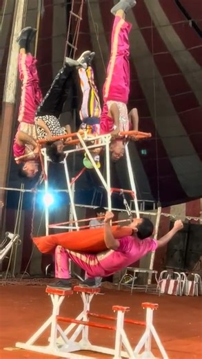 Get ready for the most spectacular show of the year! The world-famous Lucky Irani Circus has set up its grand tent right here in Okara City. Witness death-defying stunts, hilarious comedy, and breathtaking acrobatics that will leave you on the edge of your seat. From the high-flying trapeze to the daredevil motorbikes, we have it all! 👇 Like & Share to support Pakistani talent. https://youtube.com/shorts/ngPx1XV-1G0. 📍 Location: Chungi No. 7, Mangal Bazar. Ground, Okara City Tickets available 