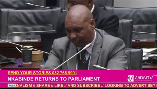 Cedric Nkabinde has returned to the Ad Hoc Committee in Parliament investigating corruption and political interference in the criminal justice system. His previous testimony was cut short because MPs found contradictions between his oral testimony and a sworn statement (affidavit). | MDN News