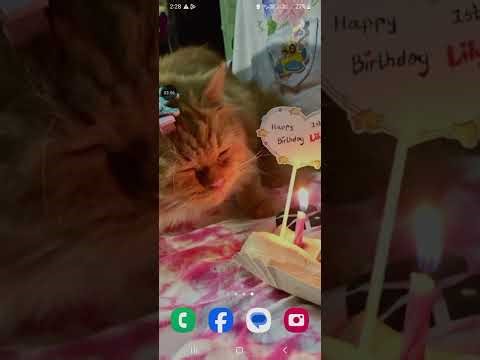 Tutorial how to create old mlbb apk patch (not all of them are gonna work atually)