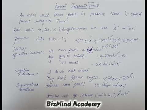 What is Present indefinite tense #hindi #english #englishgrammar ‪@BizMindAcademy-k4x‬