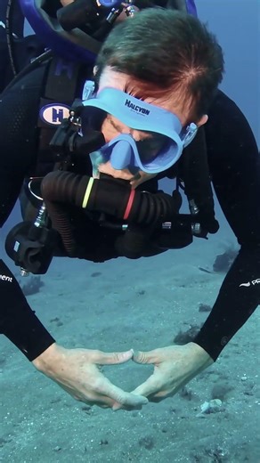 Have a great start to the week 💦🌐 halcyon.net #halcyondiving #HalcyonDiveSystems #halcyondivers