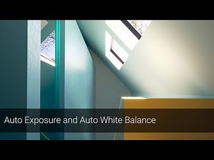 V-Ray Next for Rhino – Automatic exposure and white balance