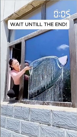 ▶️ Clean both sides easily Double Side Magnetic Window Cleaner Brush Tool ( # 2121 )