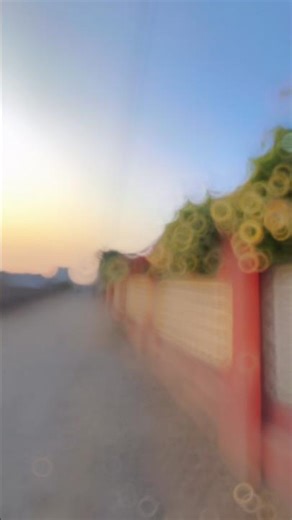 #cg #29livecg #cgviral #cgmanjuvidio #cgmanjuvidio #cgmanjuvidio #cgshorts #dancemusic #dance #song