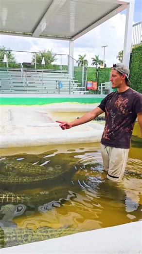 When Devin calls out Darth Gator, the whole Gator pit starts paying attention