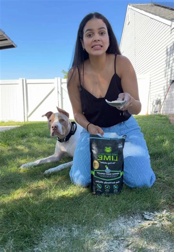 Elimina los que hay y previene que vengan más! #insectrepellent #lime | lime