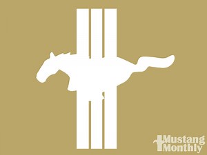 Ford Mustang Beyond The Basics