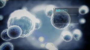 La tecnología de punta de YPF permite que las naftas que se comercializan en nuestras estaciones de servicio sean las mismas que se utilizan en alta competición. | YPF