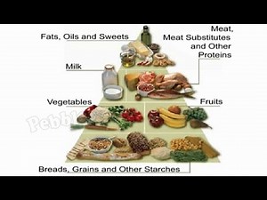 Food | 6th Std CBSE Science syllabus