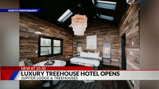 Colorado’s first luxury treehouse hotel opens in the woods of Evergreen | Haystack News