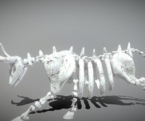 ArtStation - Bull Skeleton | Game Assets