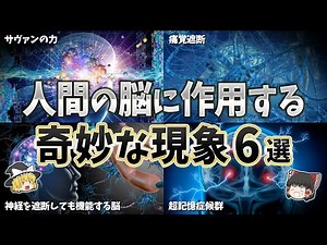 【ゆっくり解説】脳に作用する６つの奇妙な現象