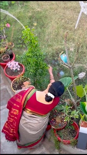 Traditional Me🌱