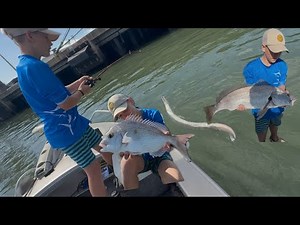 Fishing Brisbane river with live bait (NONSTOP ACTION)