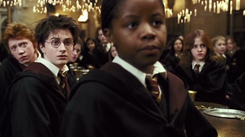 The Harry Potter Film Adaptations Didn't Include These Cool Hogwarts Classes