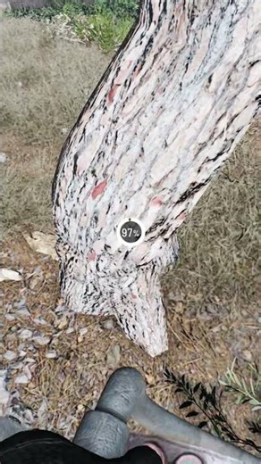 Advinha que jogo é? #gameplay #games #gaming #predador #explore #bomdia #jogos #game #fypシ #fy