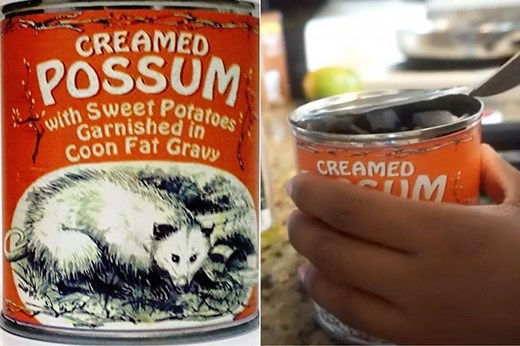 Creamed Possum Is the Side Dish Missing From Thanksgiving Dinner