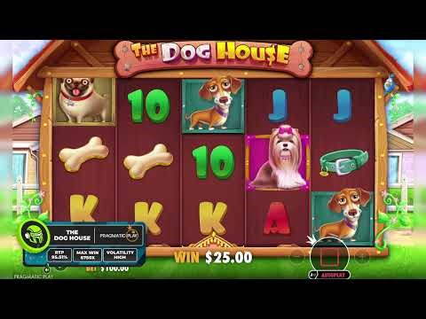 The Dog House Slot Gameplay & Demo Video
