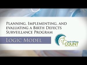 Birth Defects Logic Model