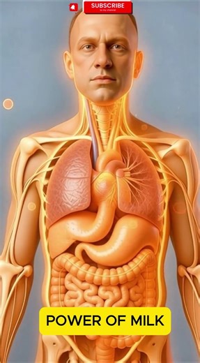 What Happens When Milk Enters Your Body? 😳 | Milk Digestion Animation #shorts