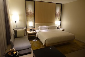 American AAdvantage & World Of Hyatt Partnership: How It Works