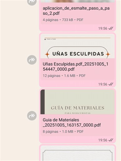 Vende cursos PDF desde casa en Argentina