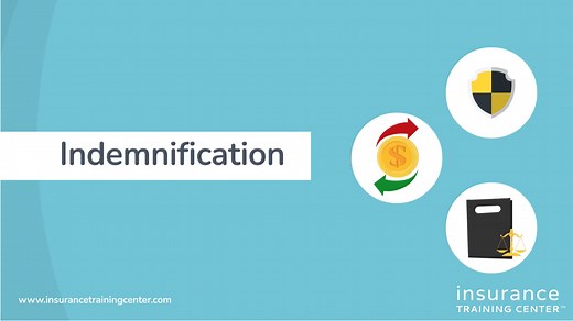 D&O: Indemnification and D&O Insurance - Side B Coverage