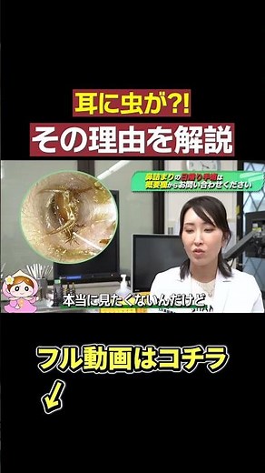 [Viewer Discretion Advised] The true story of a patient with a bug in their ear was terrifying...