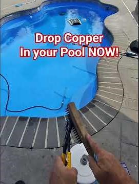 Drop Copper Right Now for incredible overnight results to clean your pool #copper #pool