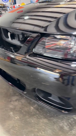 03 cobra with 53k miles | Kale Waddleton