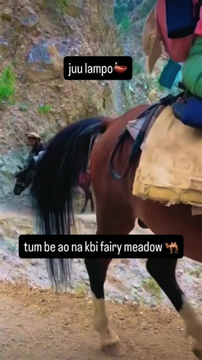 Fairy Meadows Trek: Pakistan's Mountain Paradise