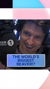 That is one BIG BEAVER 🦫 BBC Radio 1's Breakfast Show with Greg James | Listen on BBC Sounds 🎧 | BBC Sounds
