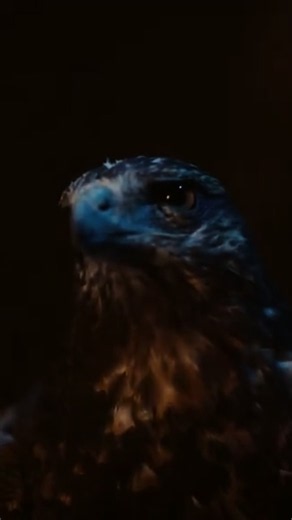 When I’m Home by James Blake, Ludwig Göransson, and Travis Scott is a pretty interesting song that plays during the credits of The Odyssey (2026) by Christopher Nolan. It reminds me of the song Underwaterfall by Bearcubs. #traviscott #theodyssey #jamesblake #electronicmusıc #ominous