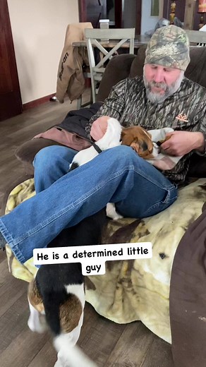 59K views · 1.5K reactions | Life with Max the beagle! #reels #fbreels #maxthebeagle #beagle #rescue #rescuedog #onehappyassfarm #farmlife #animals #pets #cute | One Happy Ass Farm | Facebook