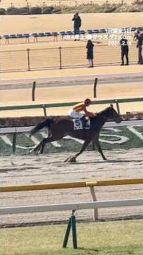 川田将雅騎手 17勝目 ライノ Into Mischief 産駒 １回東京5日 2R 4歳上1勝クラス ダ2100m