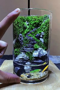119K views · 1.6K reactions |  Nature’s Tiny Masterpieces: Mini Landscapes That Amaze! | Creative Inspiration For You | Facebook