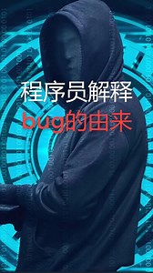 程序员解释bug的由来