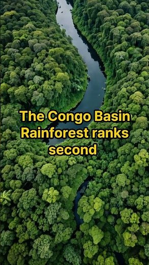 the top 5 largest tropical rainforests in the world