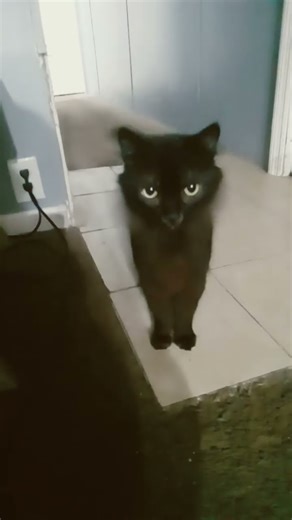 Can u spot the peeper?