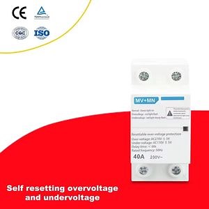 [Hot Item] Over&Under Voltage Protector Regulators Single Phase 230V Delay Protector 2p 40A Voltage Protector