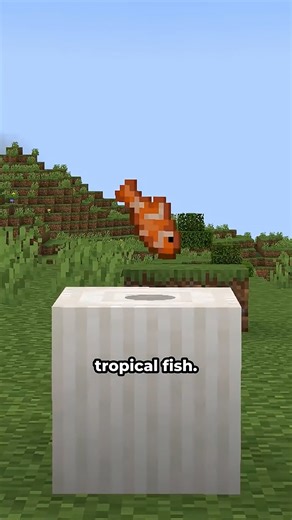 Axolotls in minecraft #minecraft #minecraftmemes #minecraftbuilds #minecraftpe #minecraftmods | SeaWattgaming
